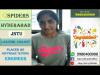 Embedded thumbnail for saranya.yalamati683@gmail.com